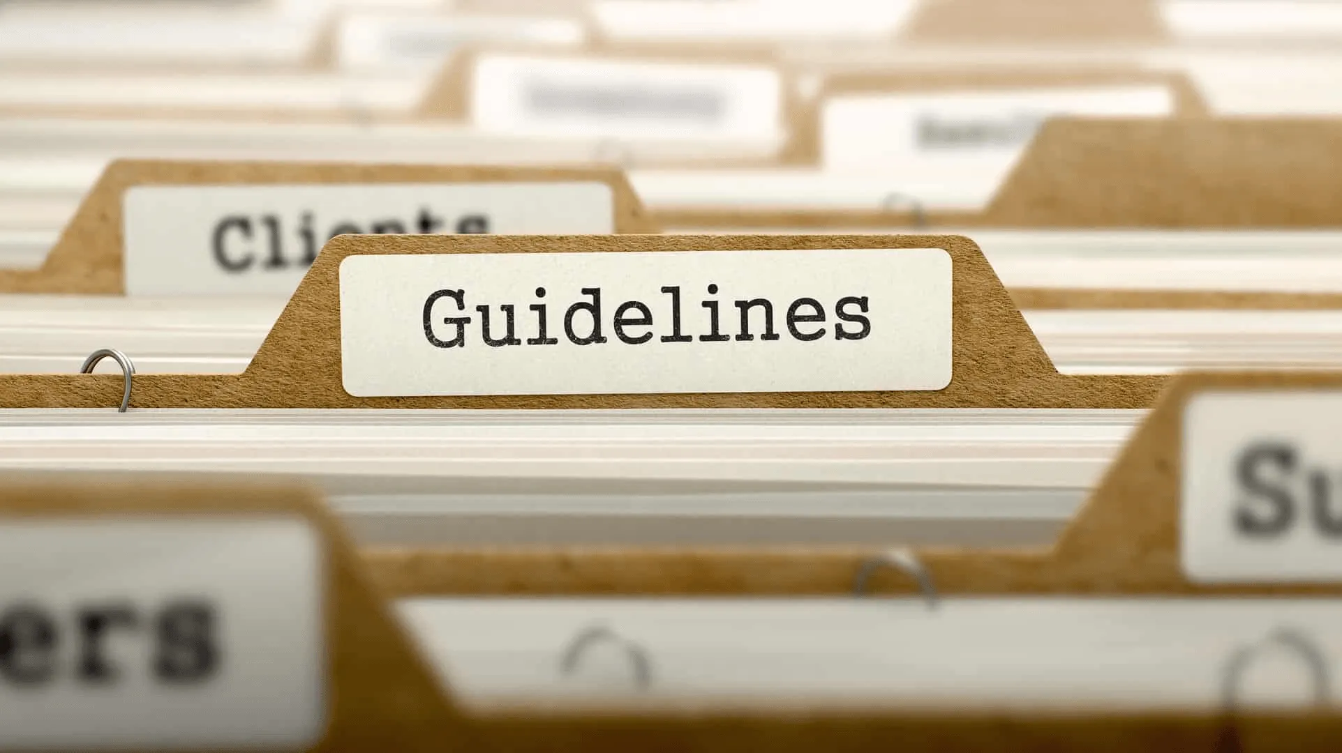 Brand Needs Style Guidelines